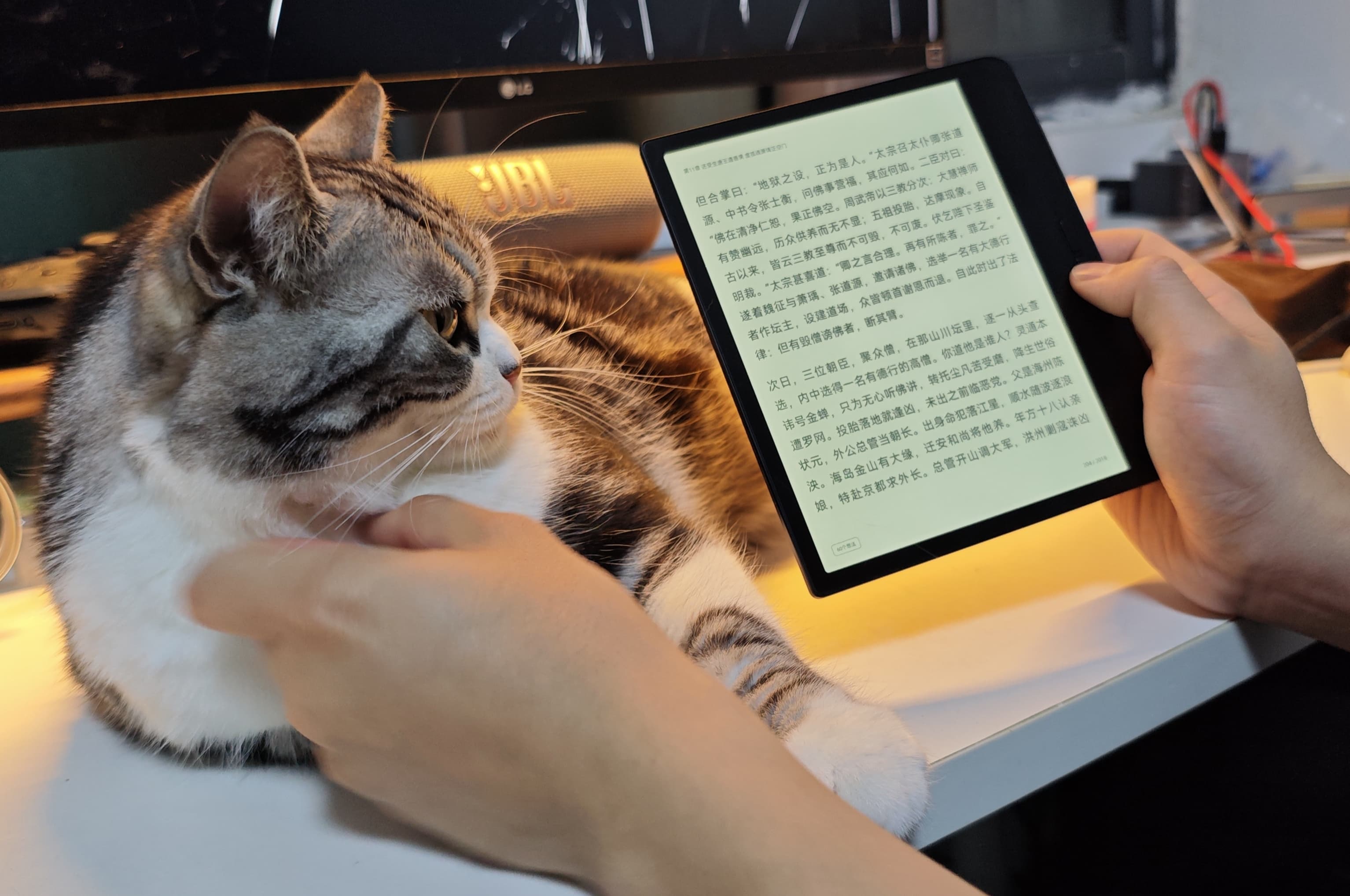 read-cat.jpg